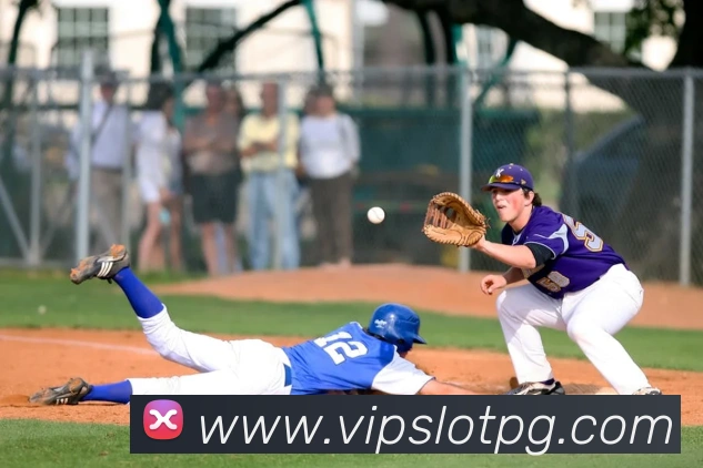 pg官网平台生态图